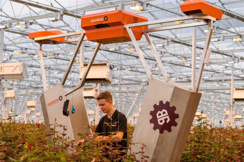 greenport West Holland