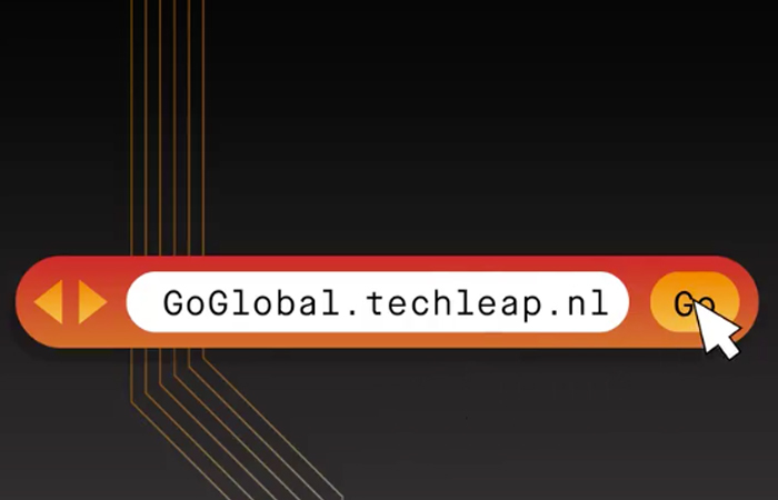 access to Techleap GoGlobal