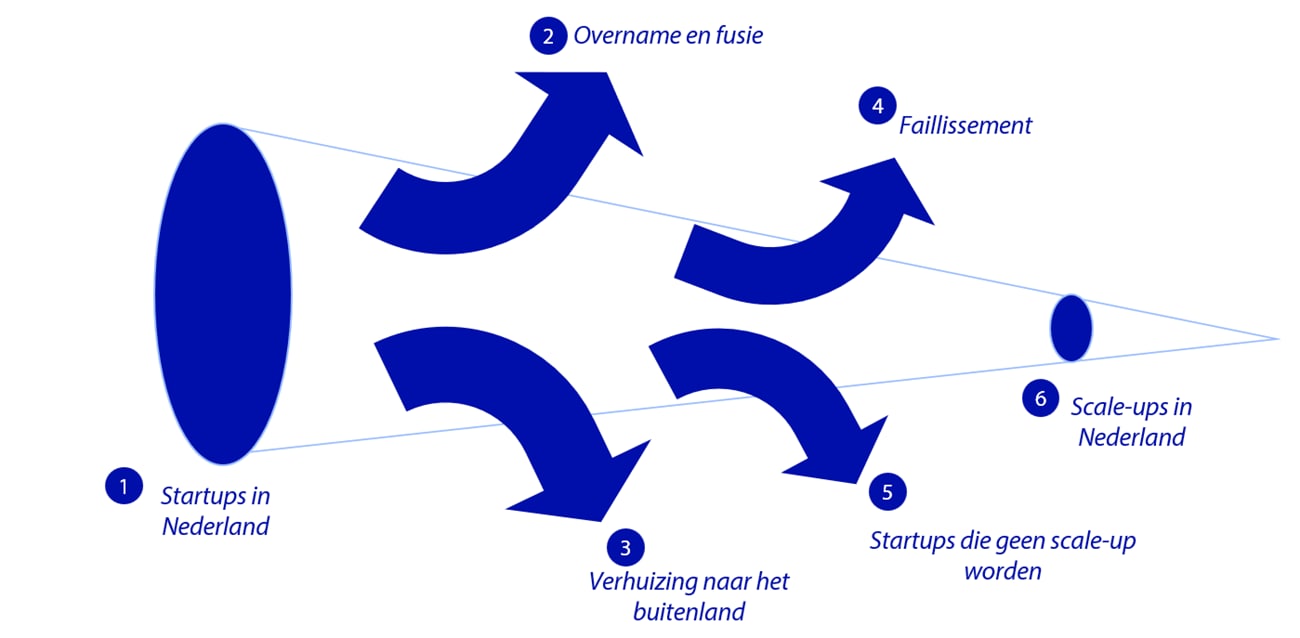 startup to scale-up