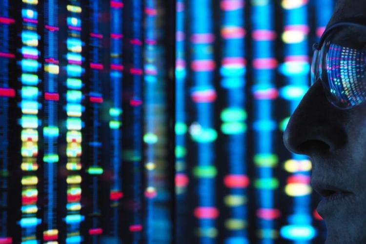 succesvolle startup founders