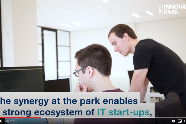 IT startups at Dutch Innovation Park